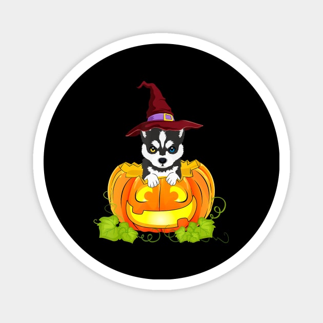 Funny Siberian Husky Pumpkin Halloween Costumes Magnet by JaydeMargulies